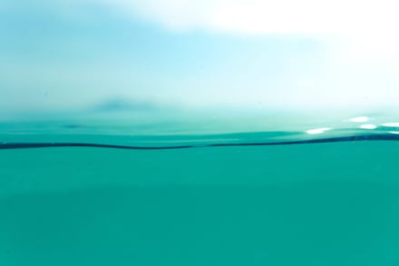5 Ways to Dominate LinkedIn Marketing