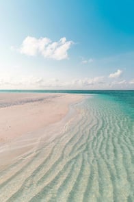 Why We Switched to Points Pricing