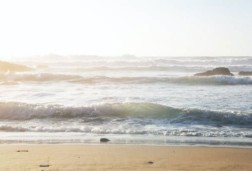 5 Reasons to Migrate Your Blog to HubSpot